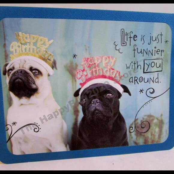 Taylor Swift American Greetings Gift Bag -Birthday Greeting Card set -NEW- Rare - Picture 2 of 12